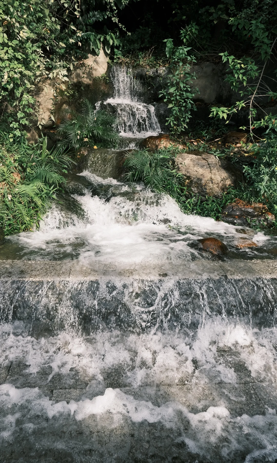 在柳州花得最值的3块钱!!!🌅