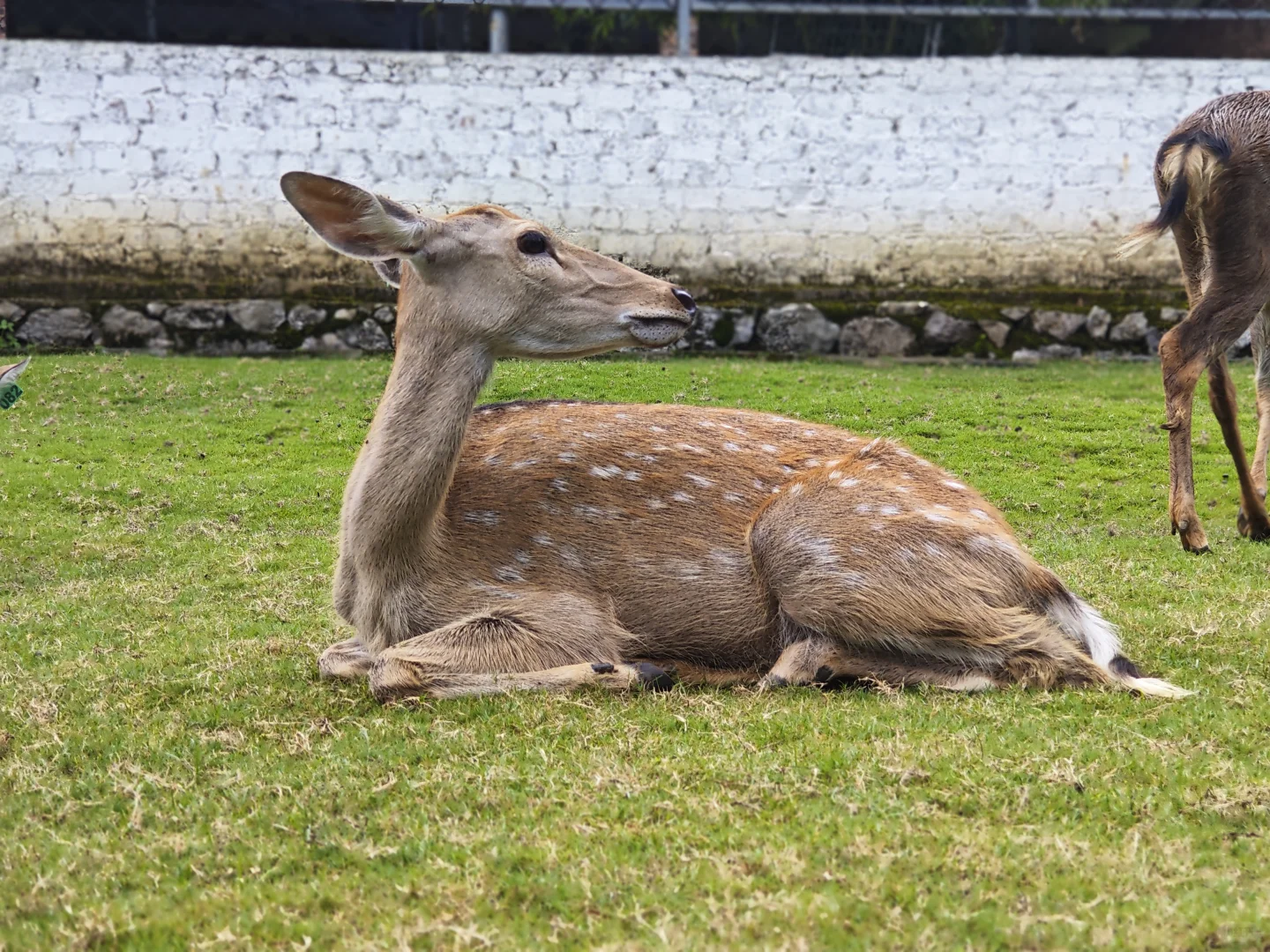 柳州 隐藏的小众景点