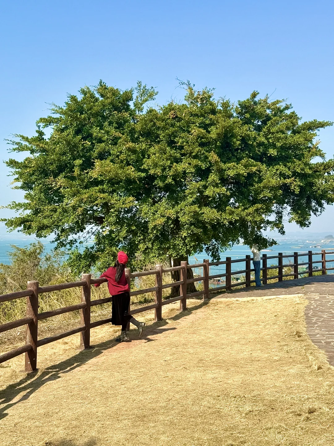 广西严重被低估的海边小城！！也太美了吧😭