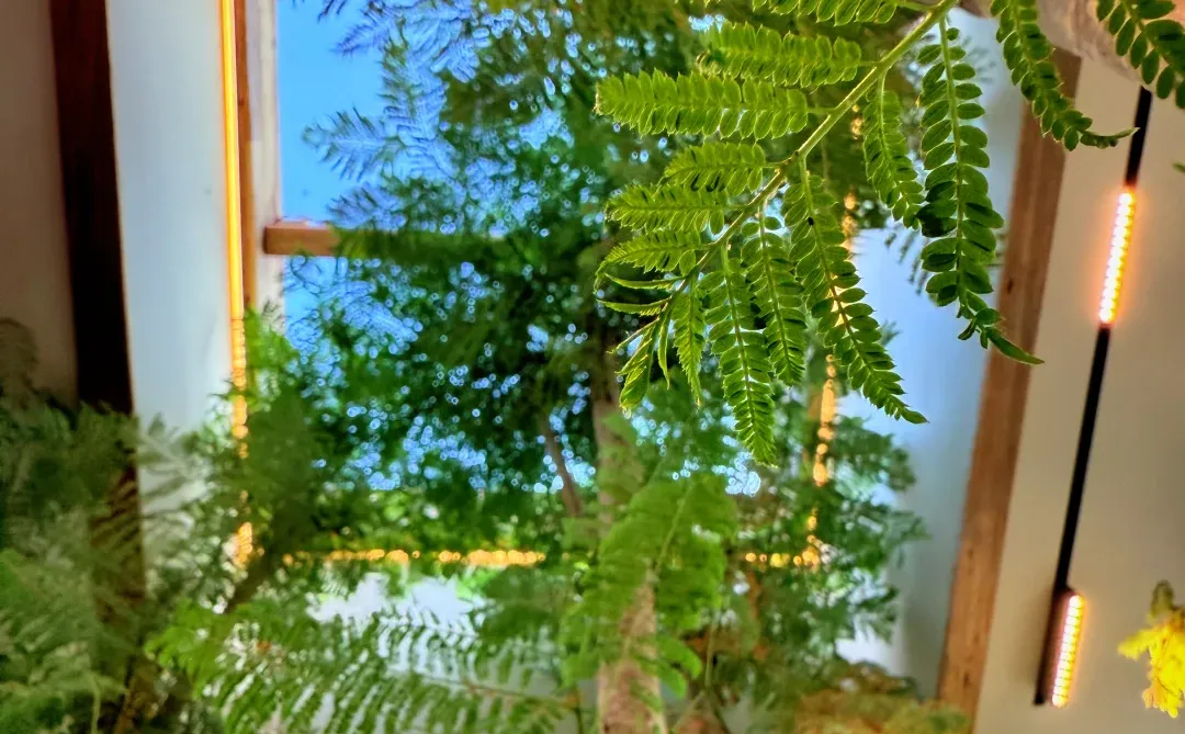 南宁咖啡打卡、一般