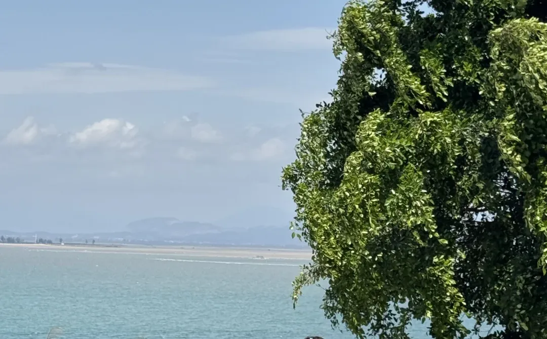 到底去防城港还是北海涠洲岛