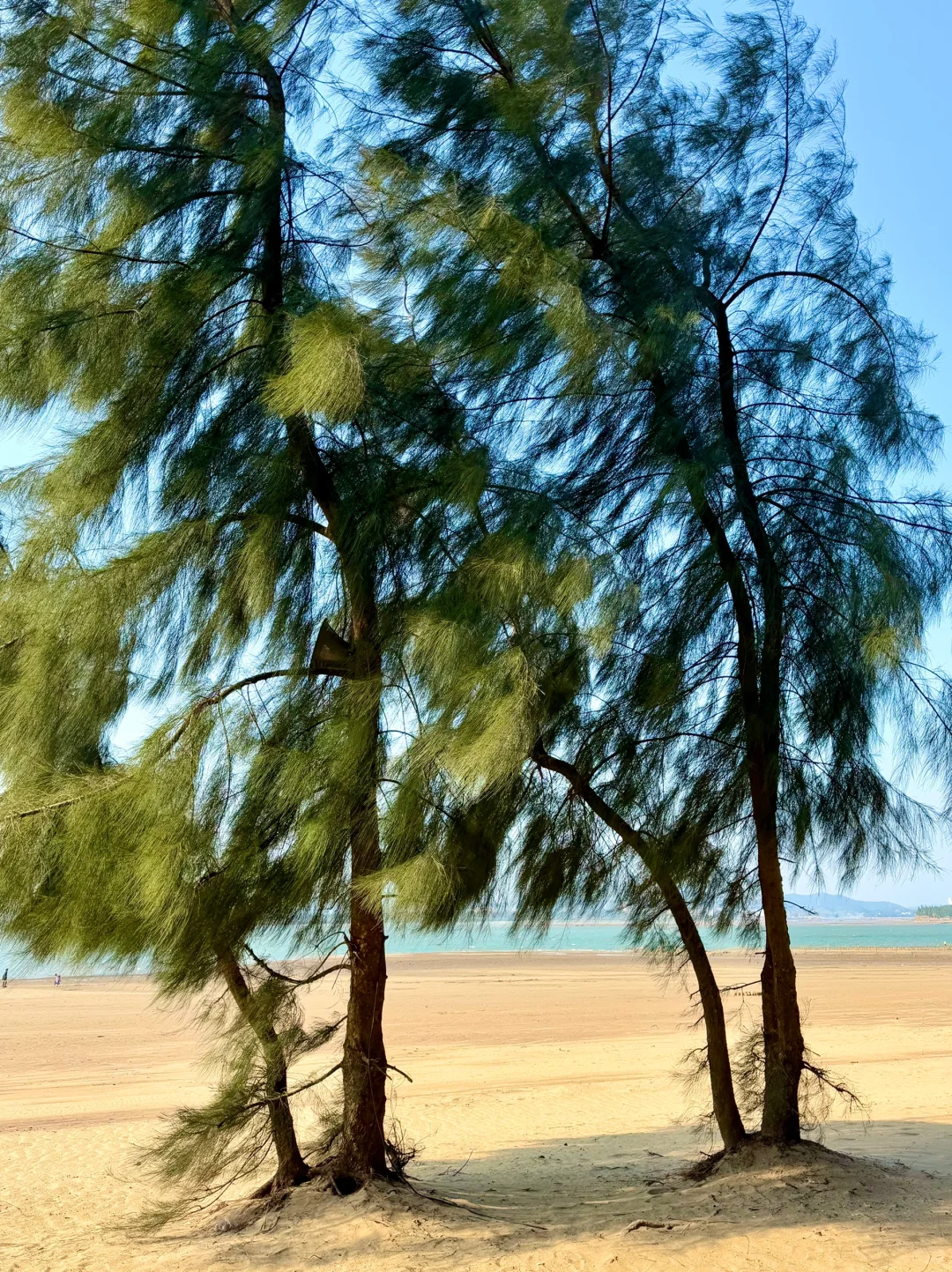 在广西！！🏖️淡季的海边真的美疯了。。。