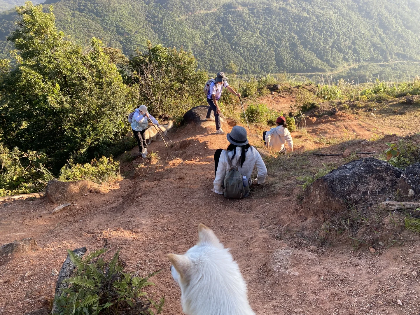 防城港又一座即将爆火的山！