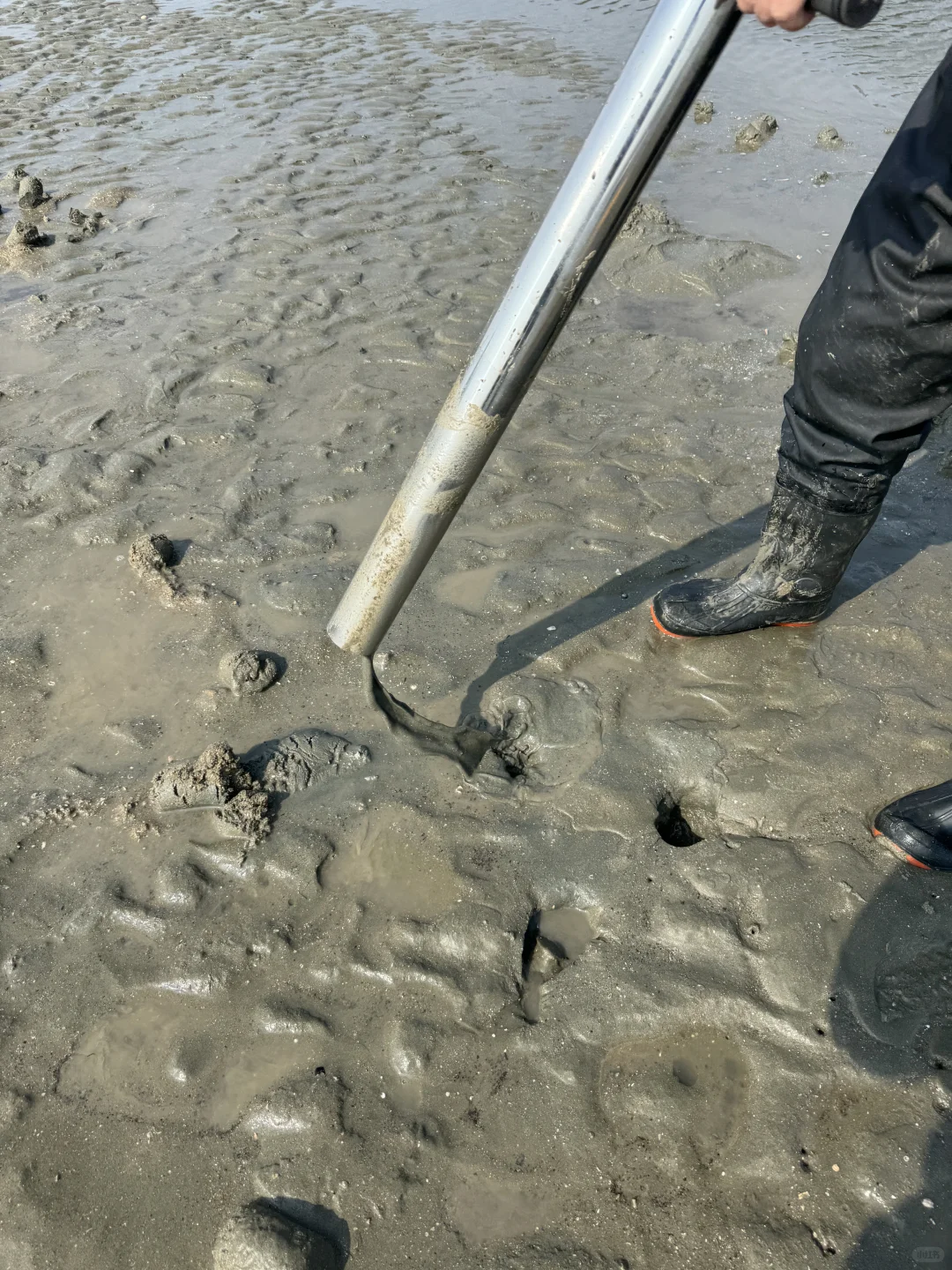 南宁2h直达！防城港赶海太上头了✨