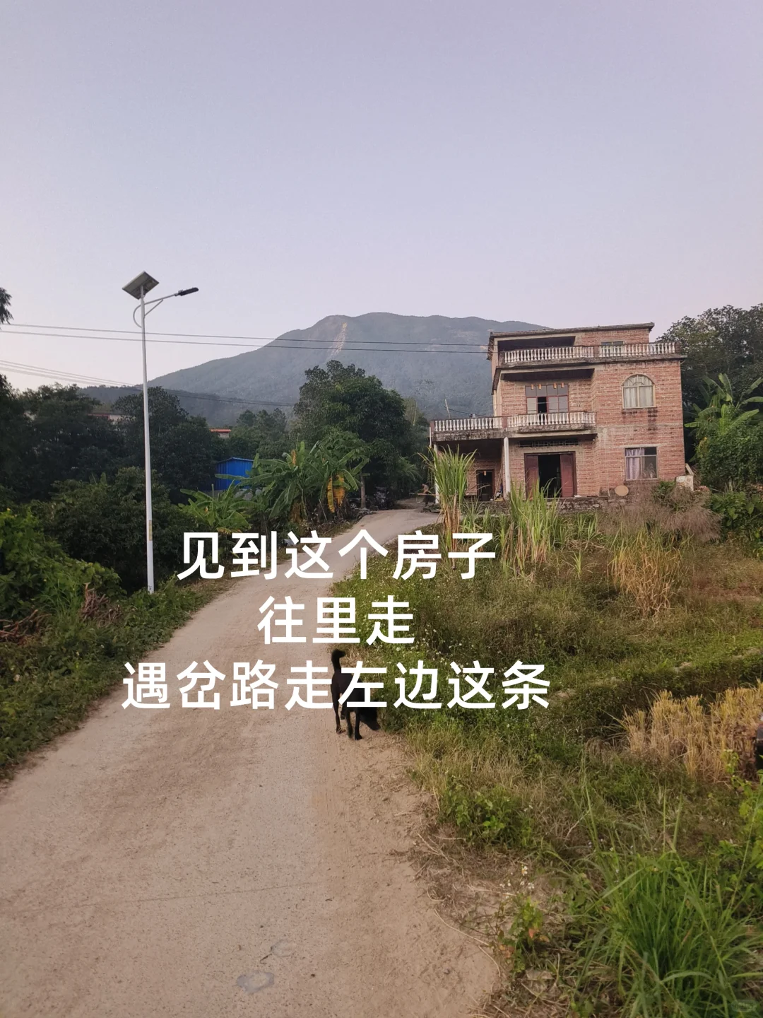 防城港又一座即将爆火的山！