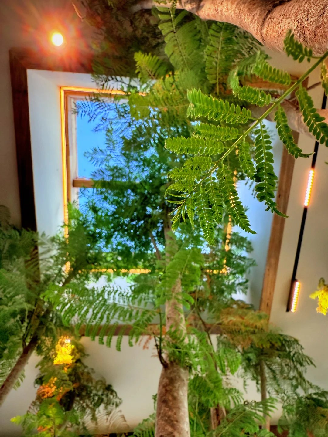 南宁咖啡打卡、一般