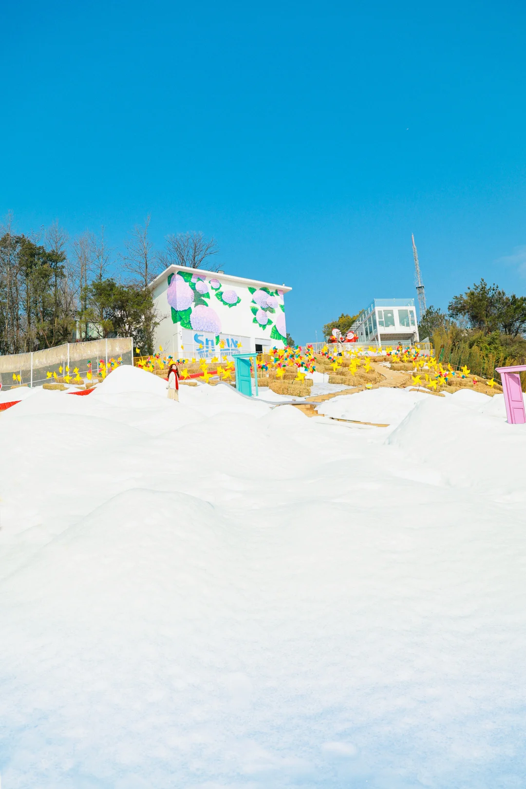 南宁人狂喜的极地乐园冲鸭