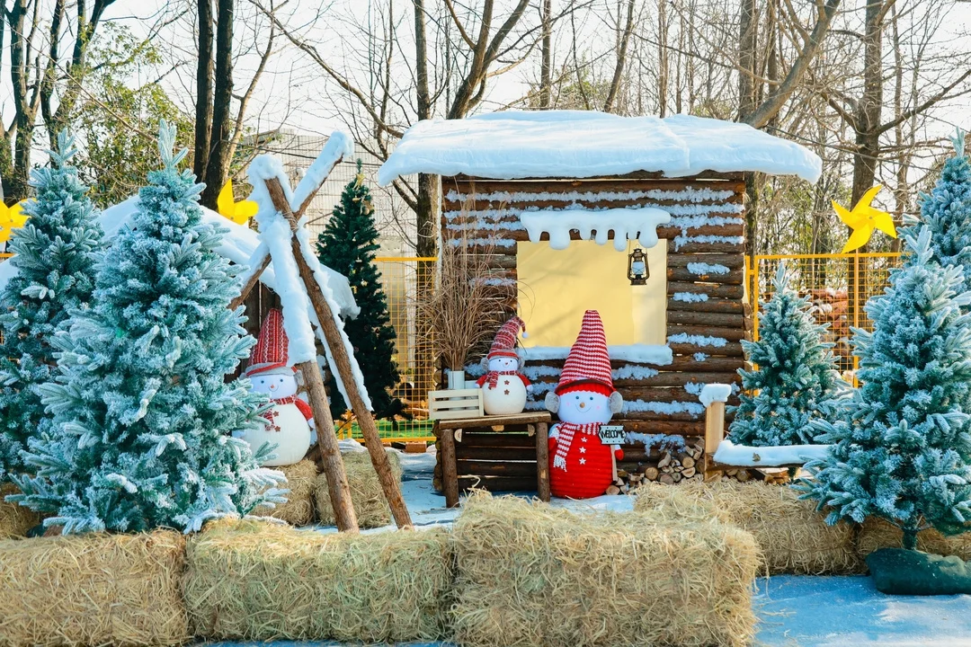30℃的南宁下真雪了？！就在市区！万人雪地