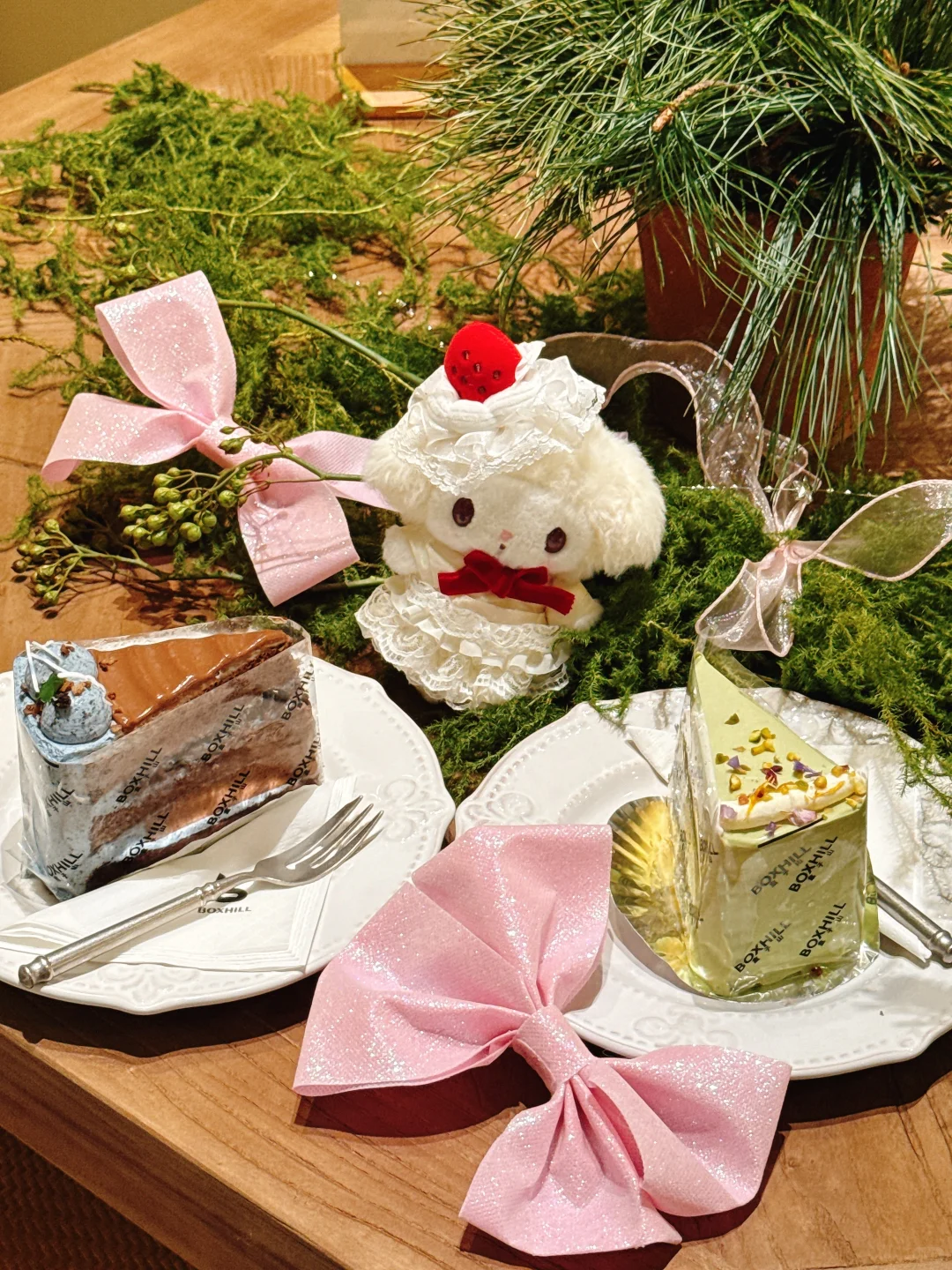 南宁新开的漂亮糕店被我发现了🎀～