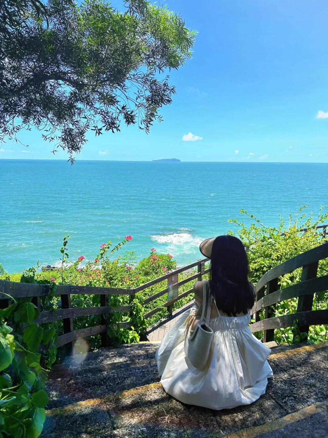 春节不去三亚，去钦州防城港追粉色海豚🐬