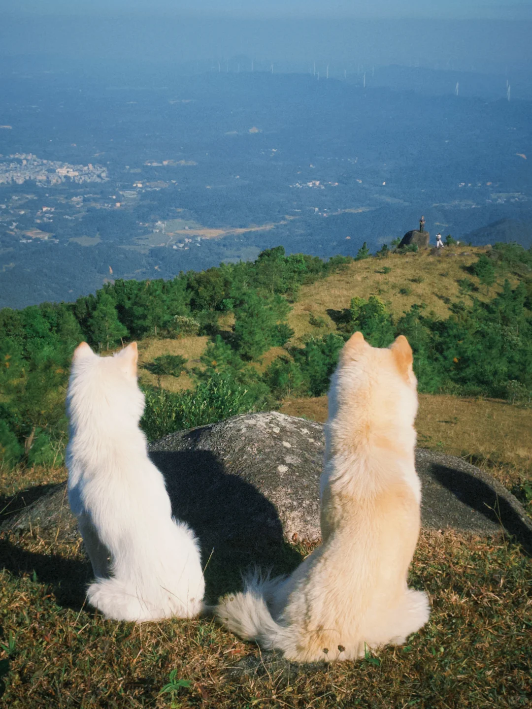 防城港又一座即将爆火的山！