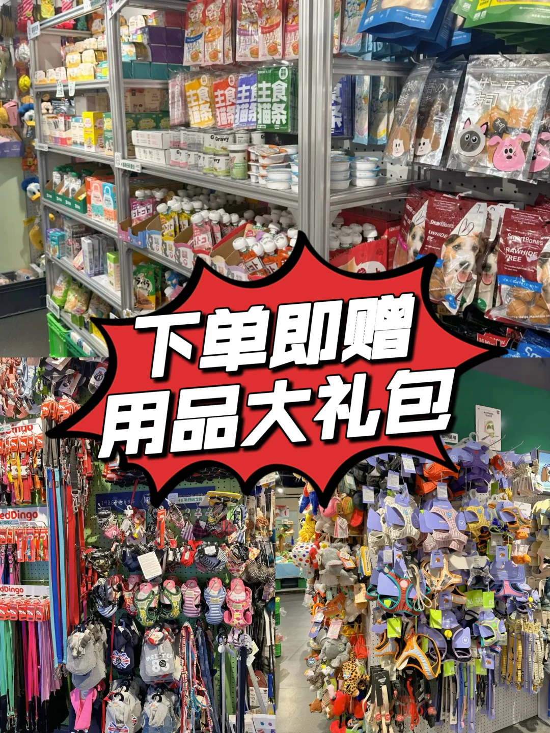 防城港买猫买狗！看这‼️你的温暖✨它的余生