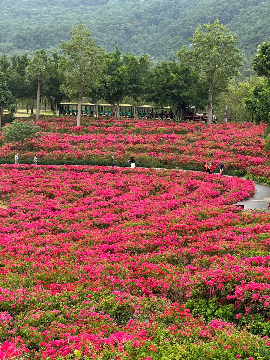 推荐6个我认为广西最适合过冬的城市……