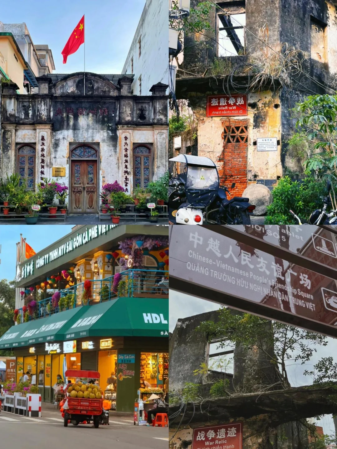 🌈广西防城港| 12-2月冬天来真的很香