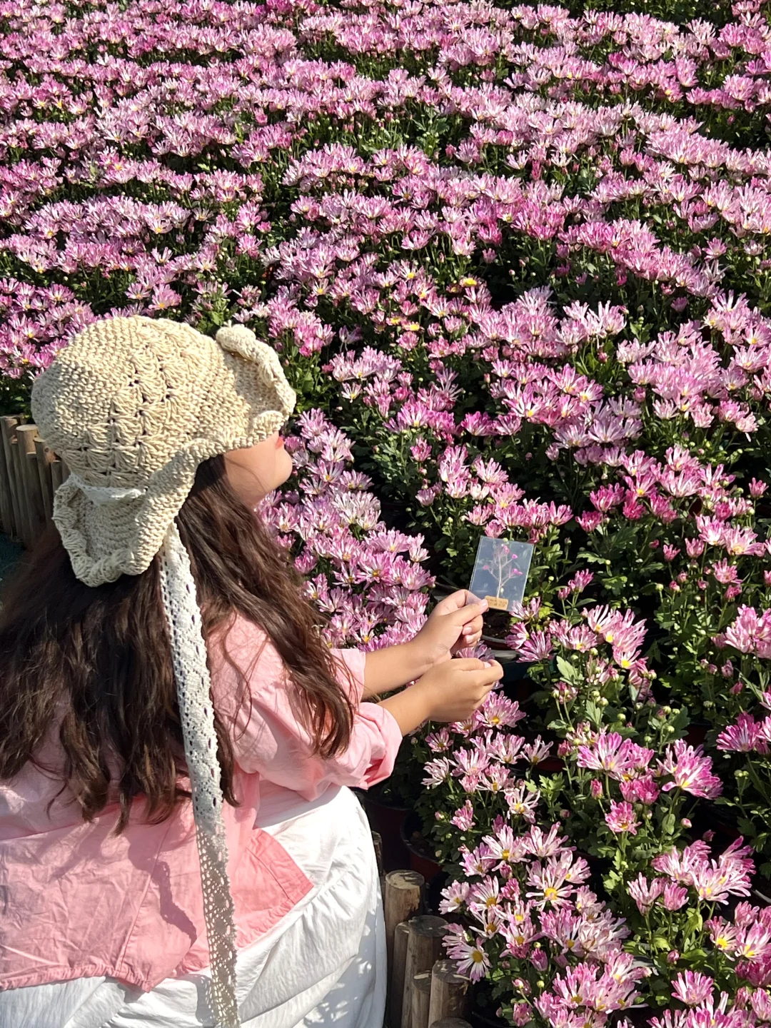 推荐6个我认为广西最适合过冬的城市……