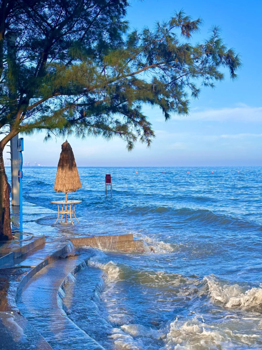 春节不去三亚，去钦州防城港追粉色海豚🐬