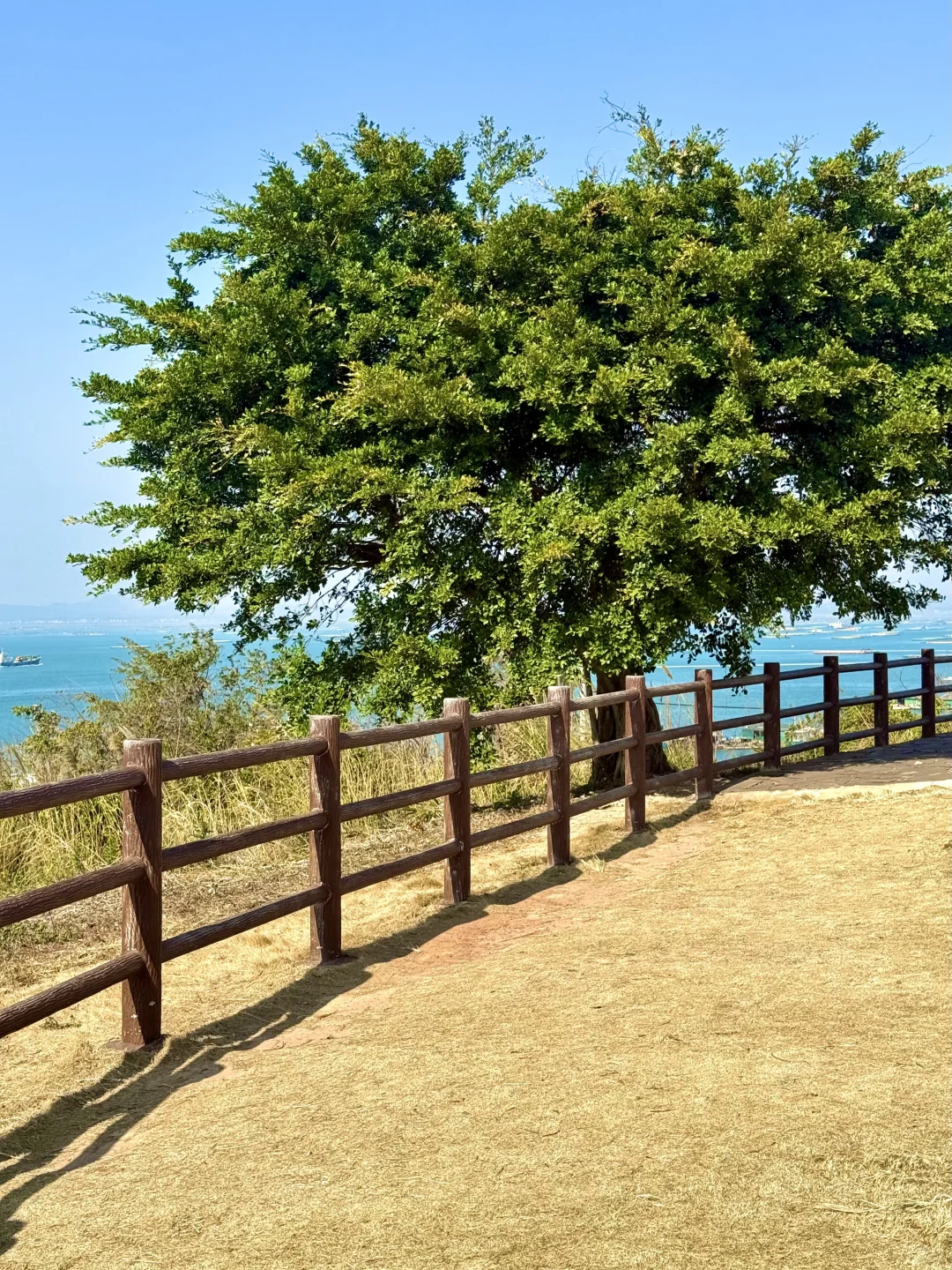 在广西！！🏖️淡季的海边真的美疯了。。。