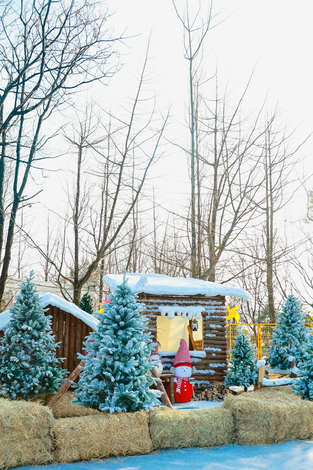 30℃的南宁下真雪了？！就在市区！万人雪地