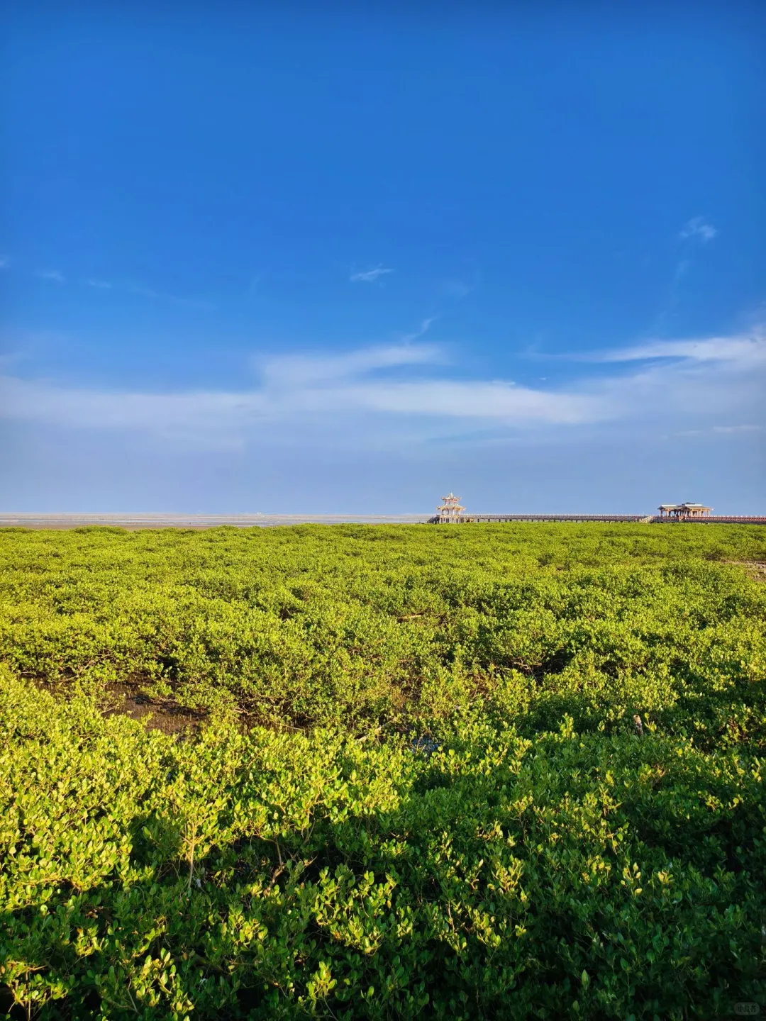 降温预警！躲进22℃防城港暖冬！☀️