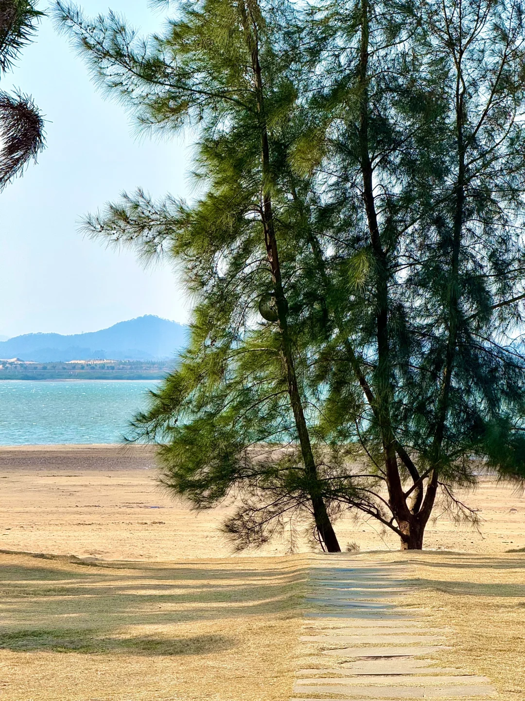 在广西！！🏖️淡季的海边真的美疯了。。。