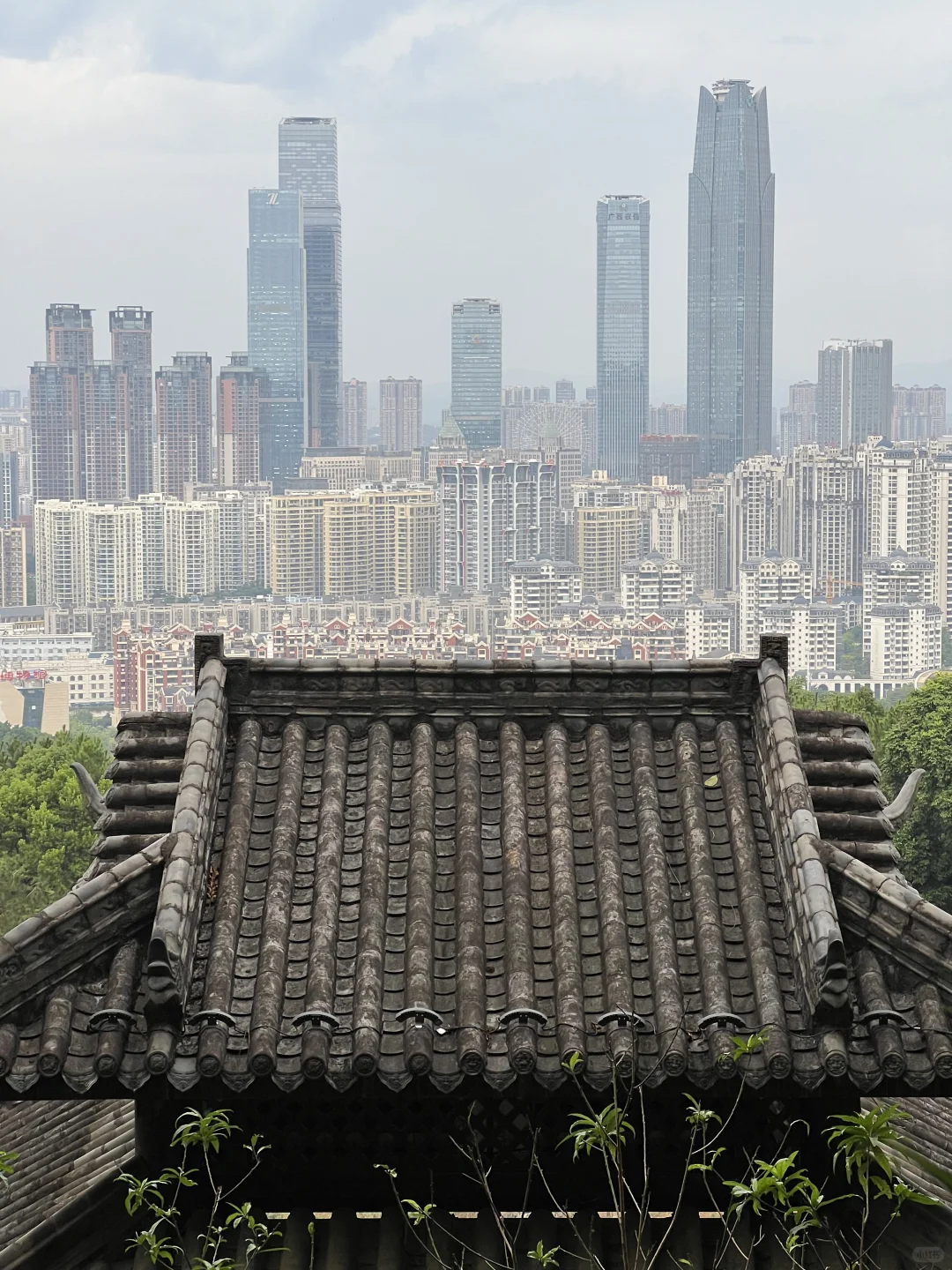 推荐6个我认为广西最适合过冬的城市……