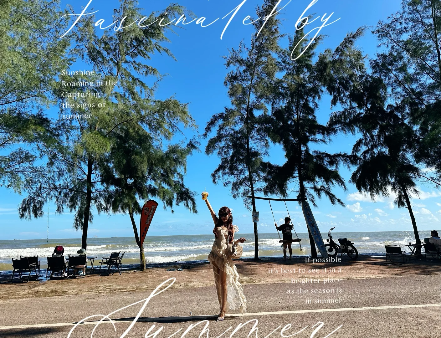 白浪滩的动物园冲浪店🌊✨✨