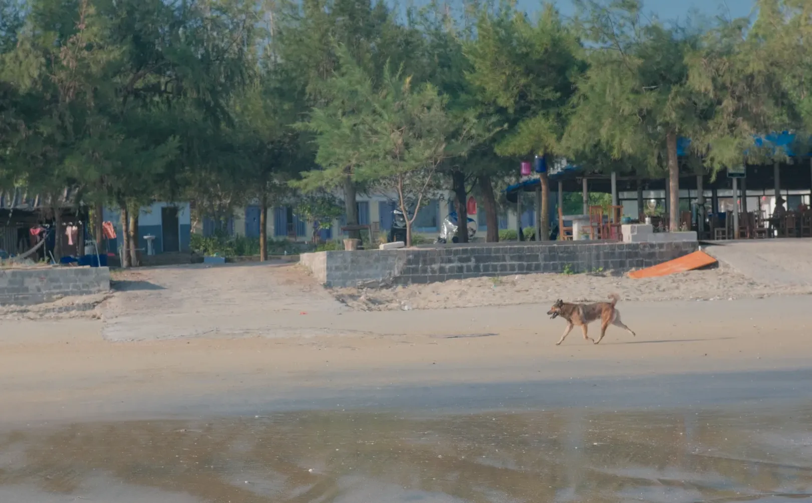 防城港：一个人超级少的渔村，很干净的海滩