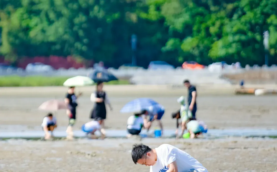 广西的海才是被低估的！超爱这小城治愈的海！