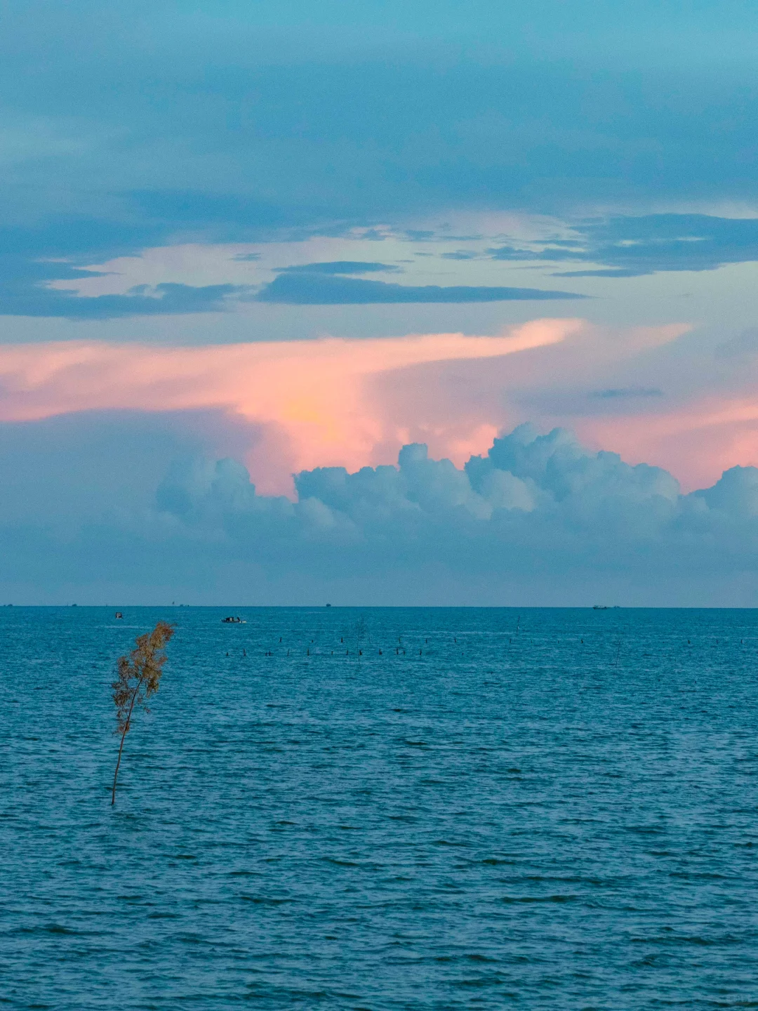 广西的海才是被低估的！超爱这小城治愈的海！