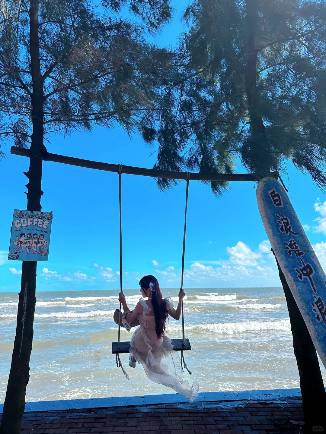 白浪滩的动物园冲浪店🌊✨✨