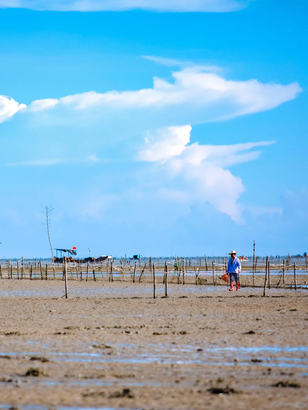 广西的海才是被低估的！超爱这小城治愈的海！