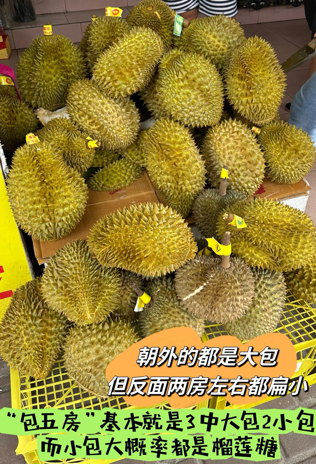 榴莲篇——东兴口岸