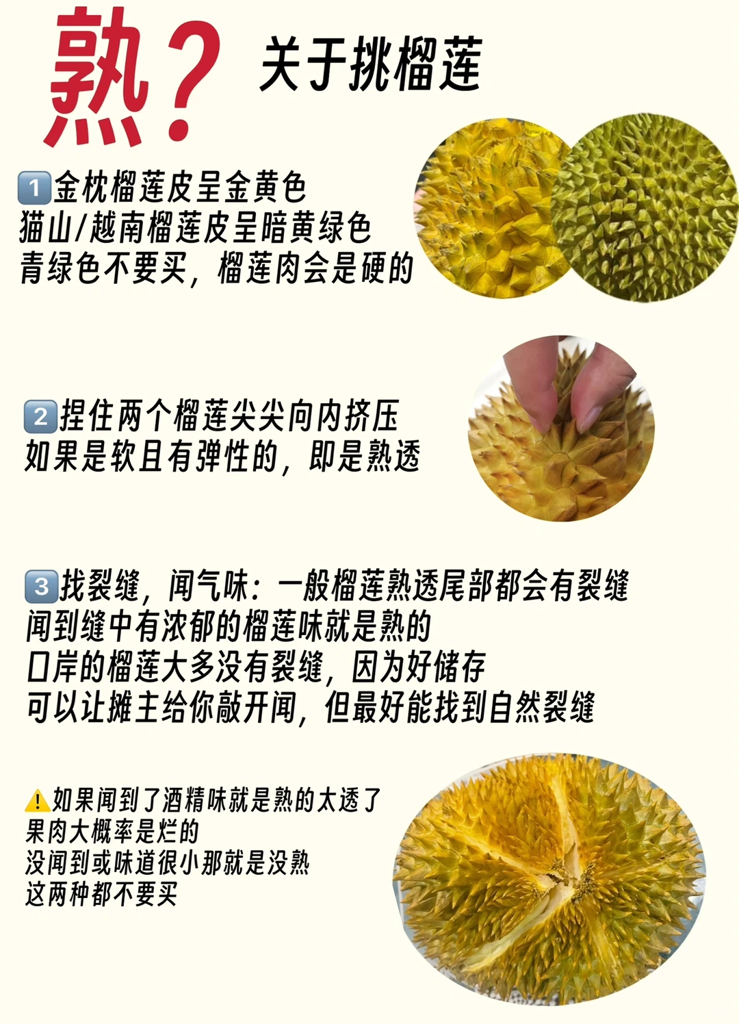 榴莲篇——东兴口岸