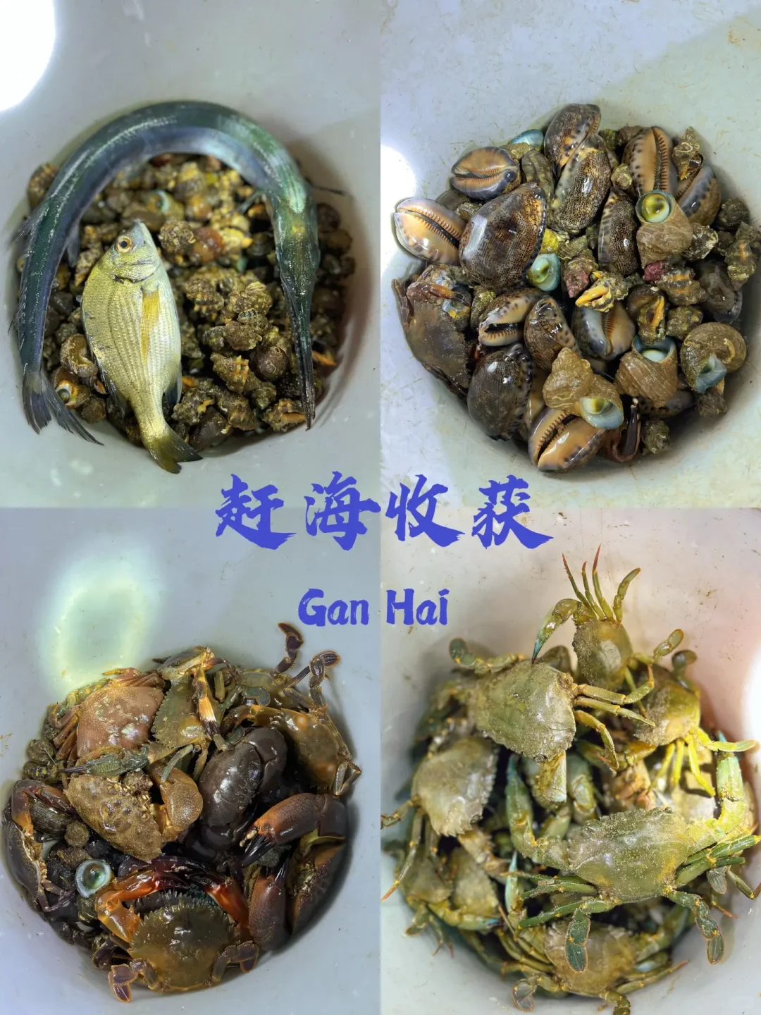 防城港江山半岛怪石滩｜游玩攻略🌊