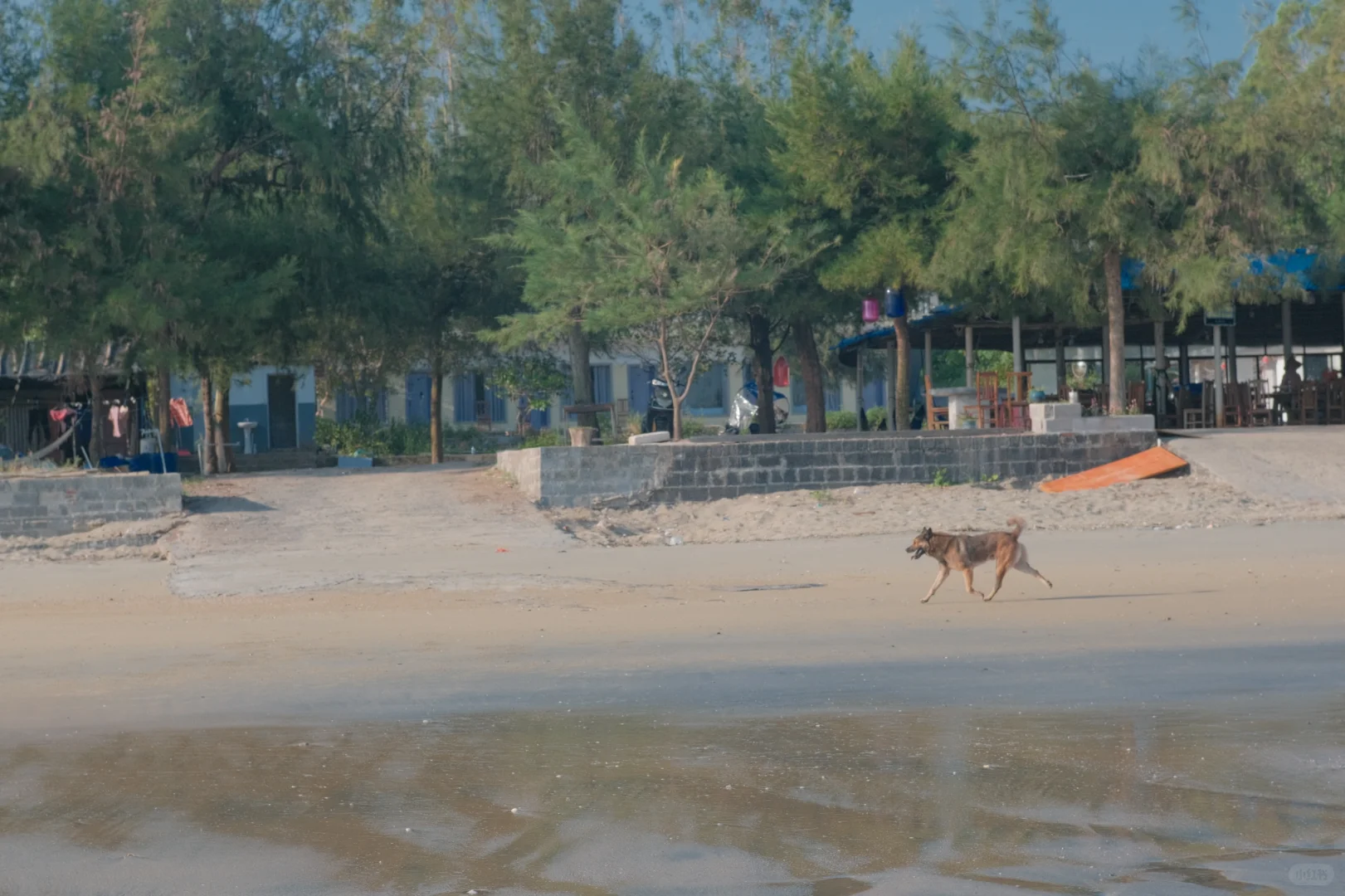 防城港：一个人超级少的渔村，很干净的海滩