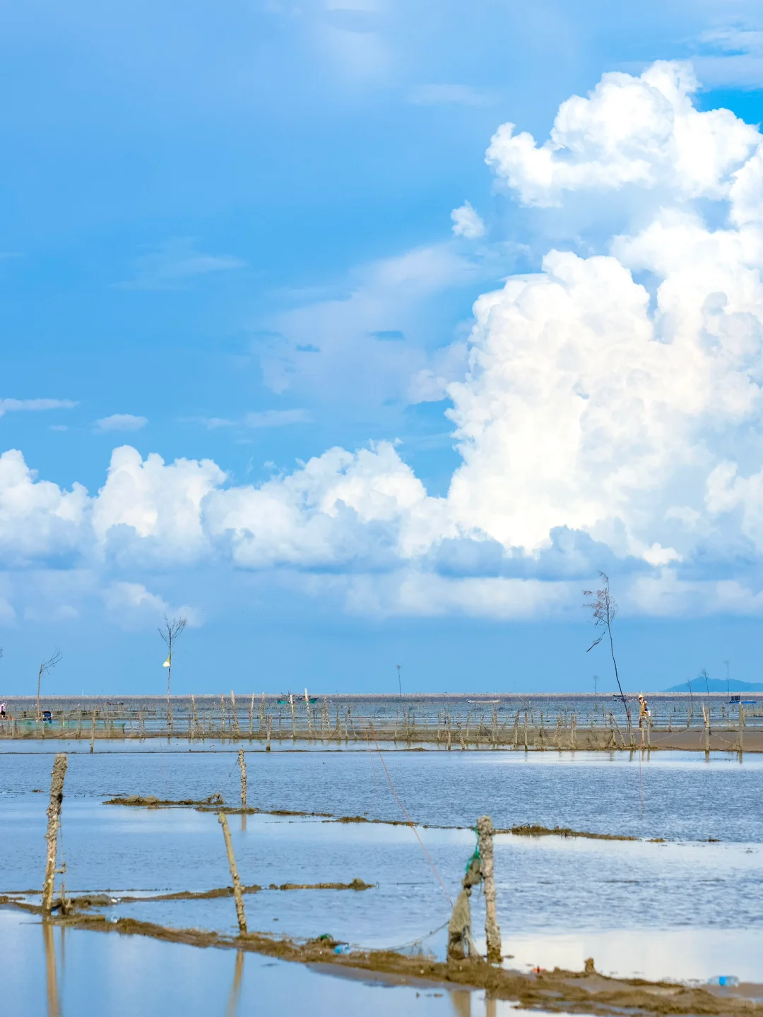 广西的海才是被低估的！超爱这小城治愈的海！