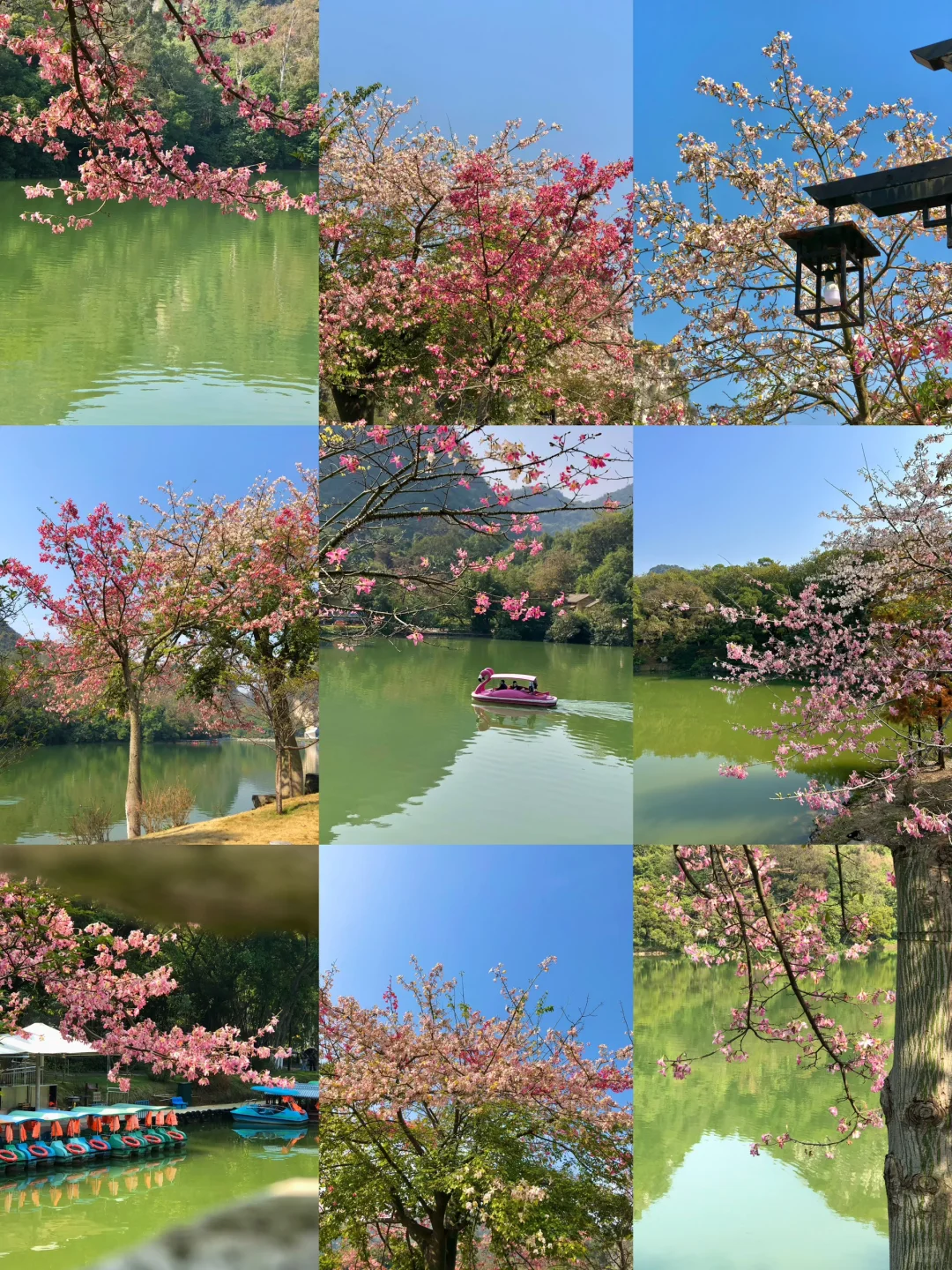 柳州｜龙潭你又美了