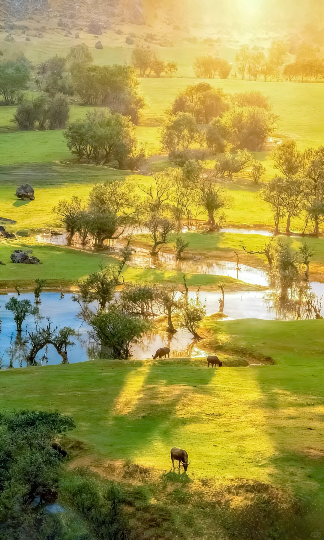 为了这1️⃣2️⃣张图，我特意飞了次广西❗️