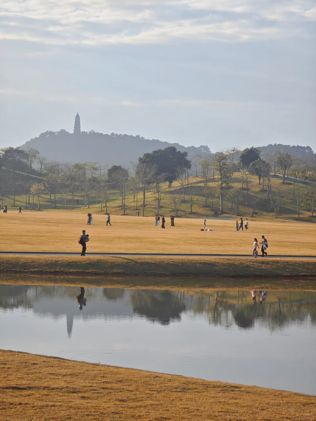 感觉一半的南宁人都去了青秀山