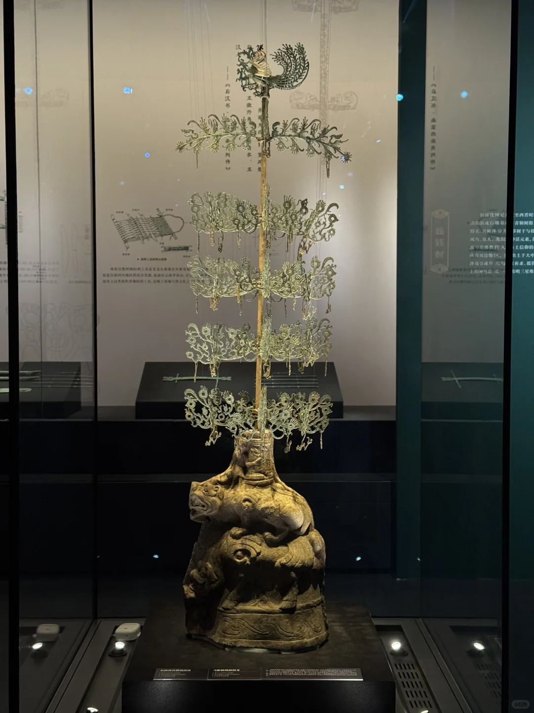 近期南宁最值得打卡的展览📷