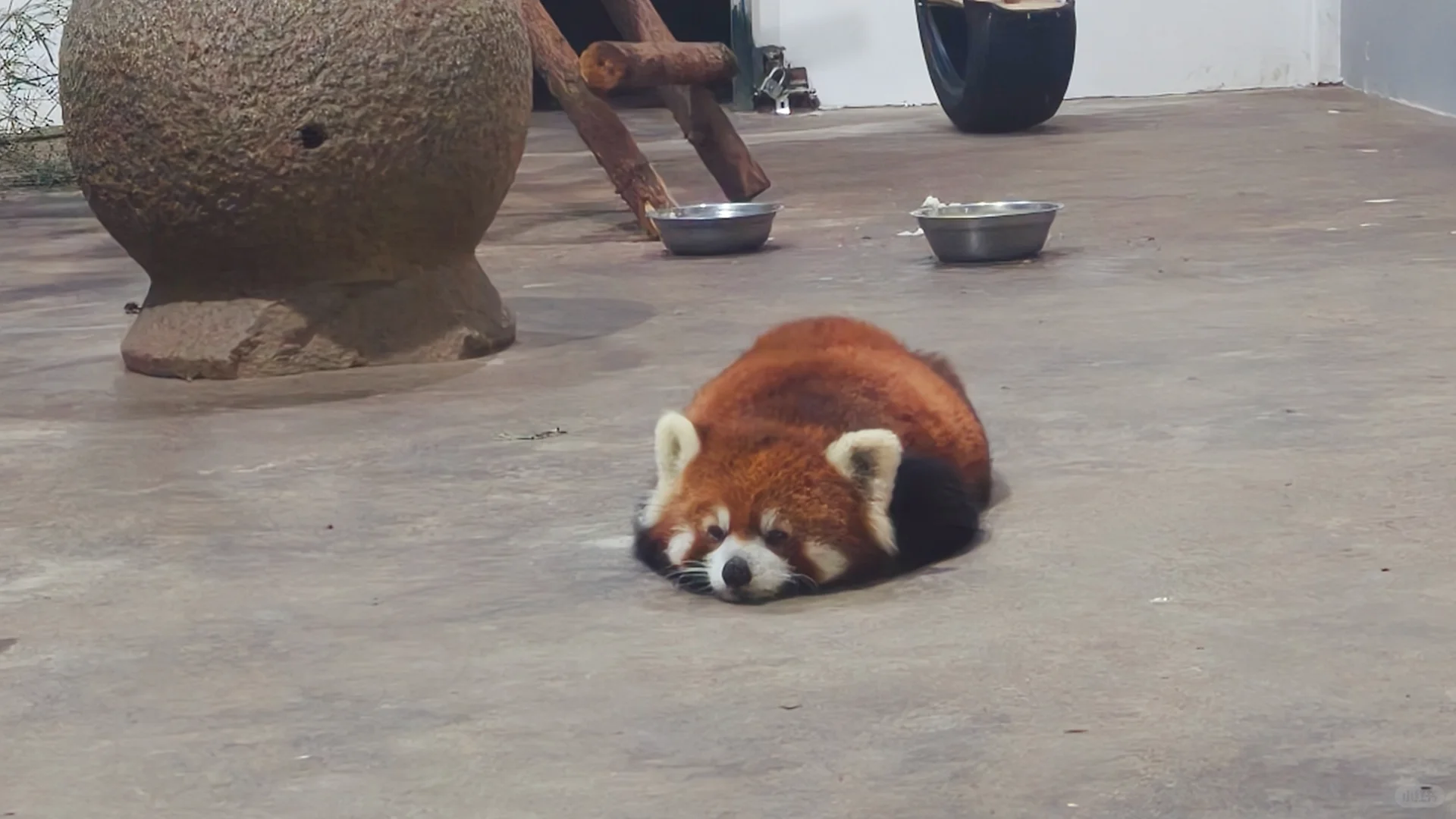 柳州，我相信你还会来的