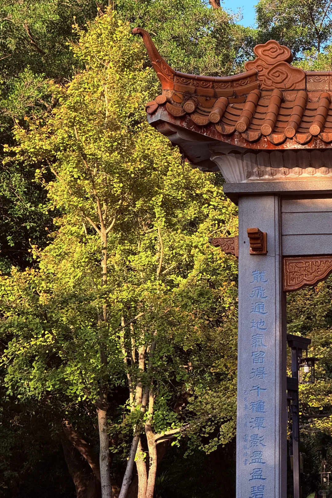 柳州市区爬山看日出就来这