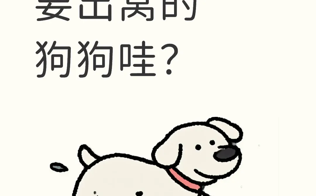 柳州有没有要出窝的狗狗哇？