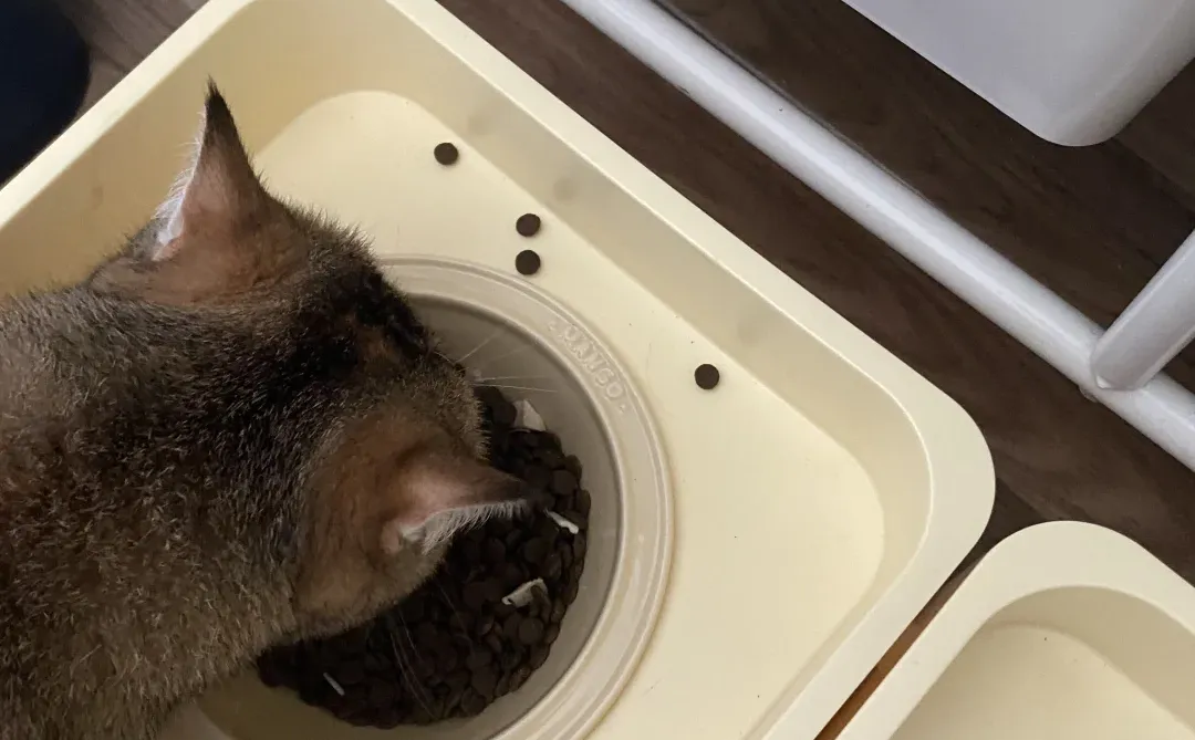 在柳州，不会还有人不知道这家公司吧