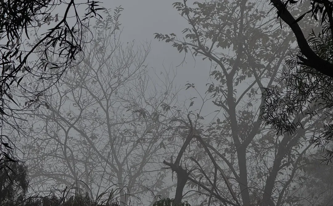 是不是都刷到柳州的这个庄园了 替你们来了