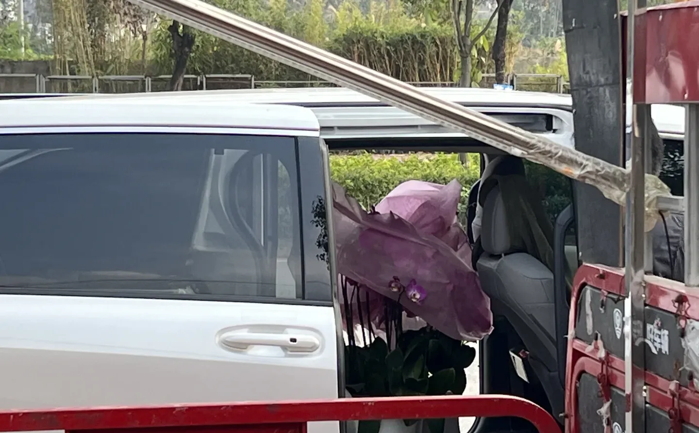 南宁蝴蝶兰、整车走