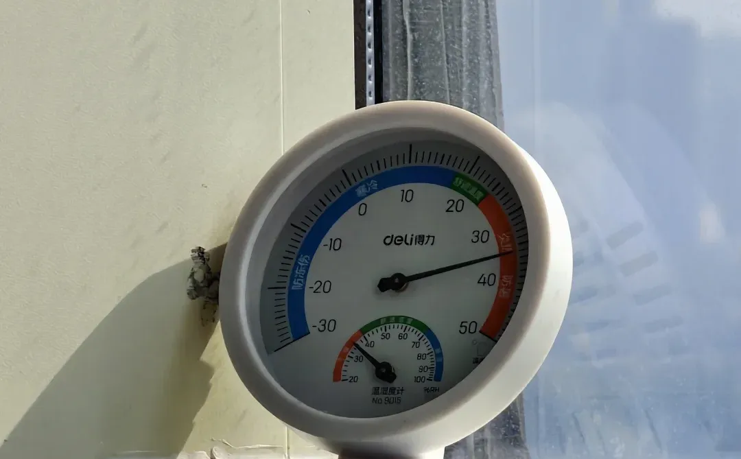 柳州这天气 是不是忘了快到冬至了