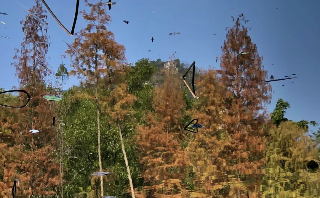 柳州｜龙潭你又美了