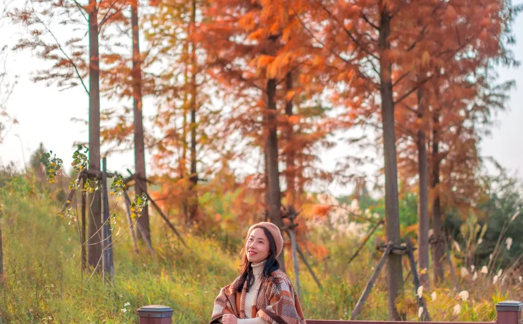 爆款机位被我“包场”了｜柳州水杉秘境