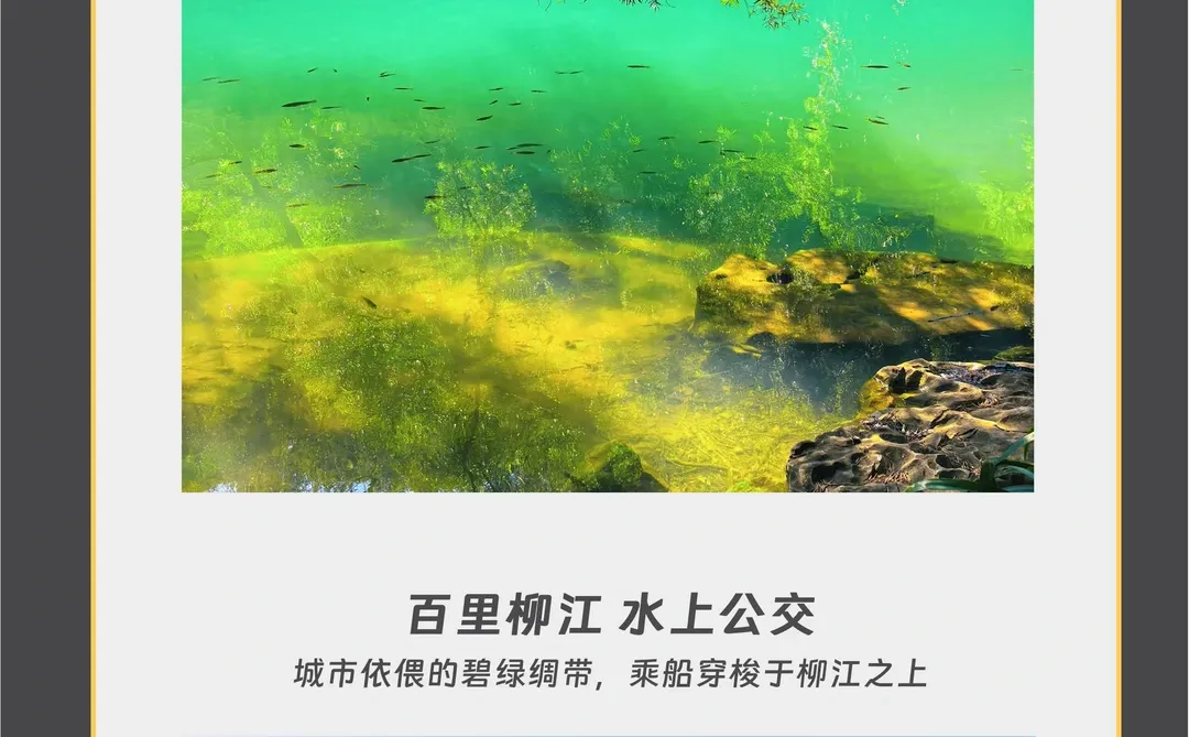 💌给小火星人儿们的南宁及周边旅游攻略